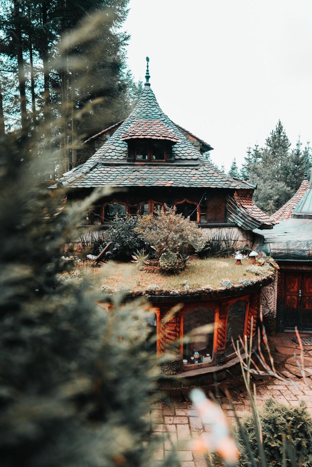 Boxque Teva Hotel Мексико Сити Екстериор снимка
